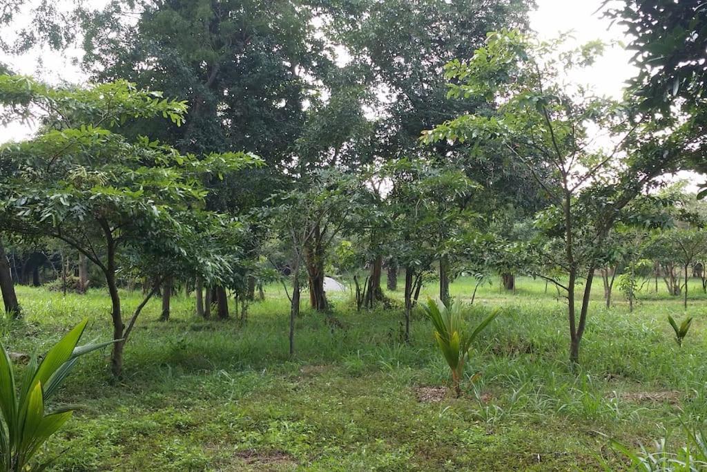 Hiddenside Of Waya Ulpatha Villa Sigiriya Exterior photo