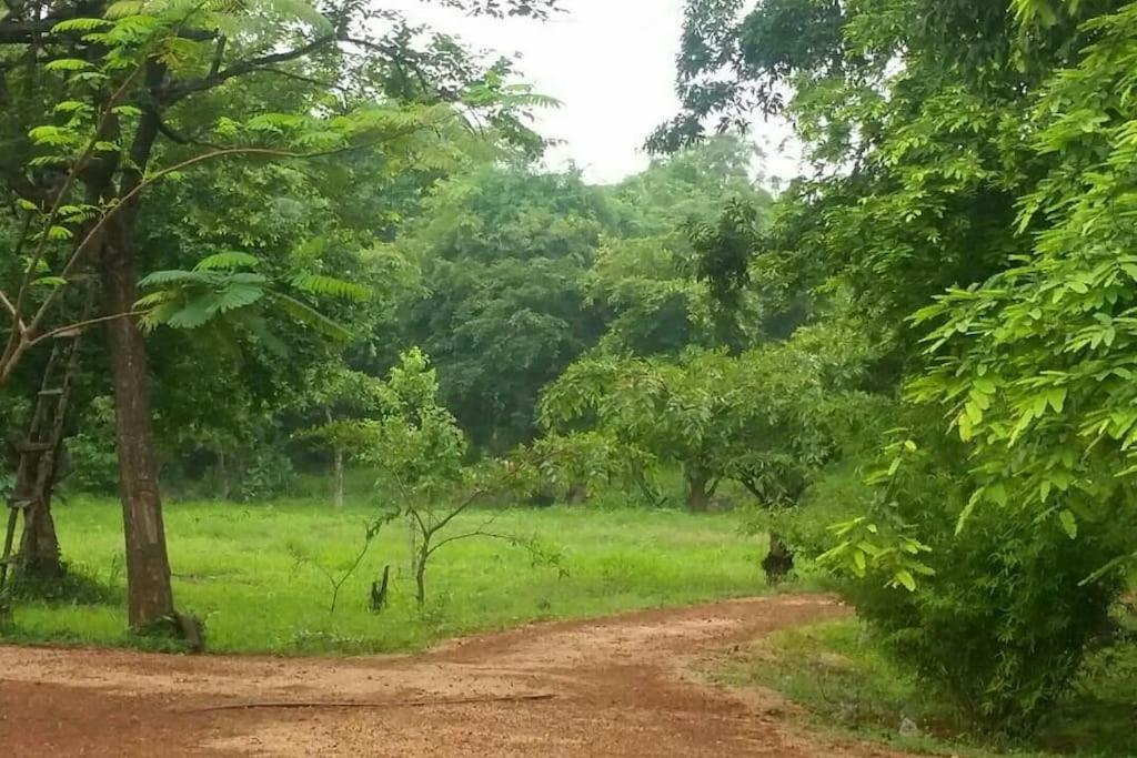 Hiddenside Of Waya Ulpatha Villa Sigiriya Exterior photo