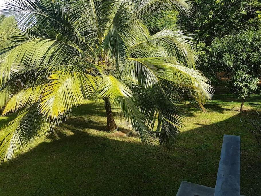 Hiddenside Of Waya Ulpatha Villa Sigiriya Exterior photo